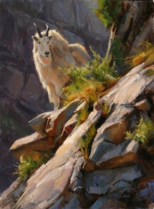 Life On The Rocks