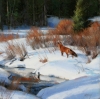 Winter Willows