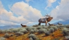 Rutting Season